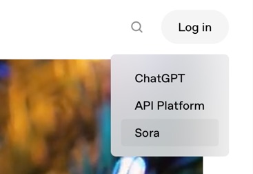 Screenshot Sora Login